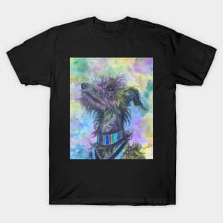 Rainbow scruffy Lurcher T-Shirt